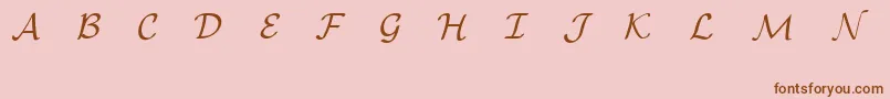 Шрифт EuclidMathOne – коричневые шрифты на розовом фоне