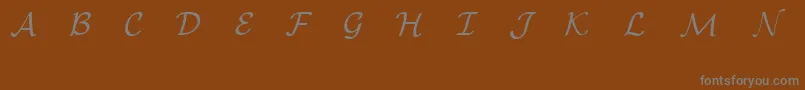 EuclidMathOne Font – Gray Fonts on Brown Background