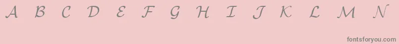 Шрифт EuclidMathOne – серые шрифты на розовом фоне