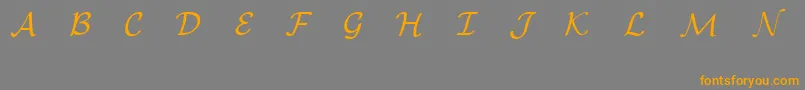 EuclidMathOne Font – Orange Fonts on Gray Background