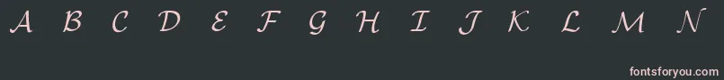EuclidMathOne Font – Pink Fonts on Black Background