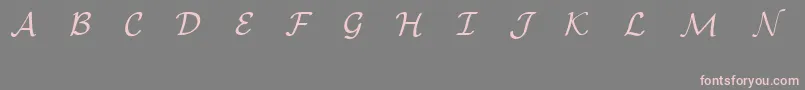 EuclidMathOne Font – Pink Fonts on Gray Background