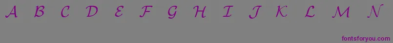 EuclidMathOne Font – Purple Fonts on Gray Background