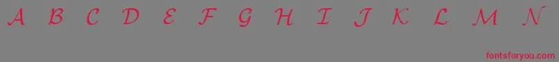 Шрифт EuclidMathOne – красные шрифты на сером фоне