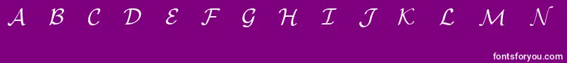 EuclidMathOne Font – White Fonts on Purple Background