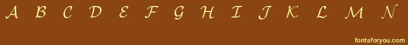 EuclidMathOne Font – Yellow Fonts on Brown Background