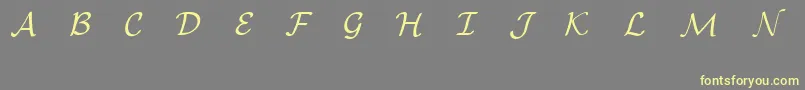 EuclidMathOne Font – Yellow Fonts on Gray Background