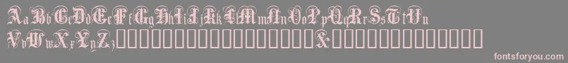 AngloText Font – Pink Fonts on Gray Background