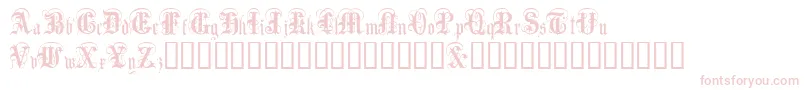 AngloText Font – Pink Fonts on White Background