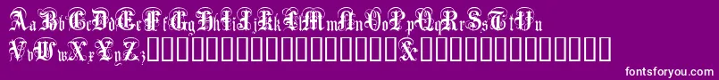 AngloText Font – White Fonts on Purple Background