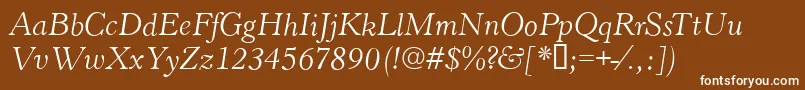 HastingsItalic Font – White Fonts on Brown Background