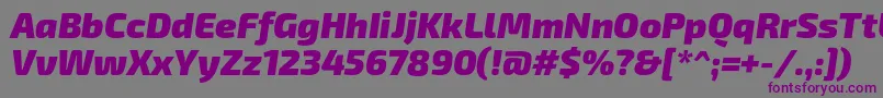Czcionka Exo2.0Blackitalic – fioletowe czcionki na szarym tle