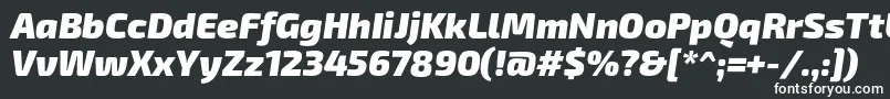 フォントExo2.0Blackitalic – 黒い背景に白い文字