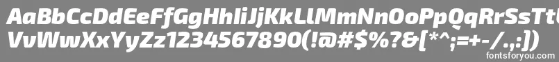 Exo2.0Blackitalic-Schriftart – Weiße Schriften auf grauem Hintergrund