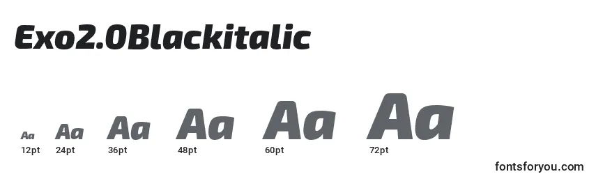 Размеры шрифта Exo2.0Blackitalic
