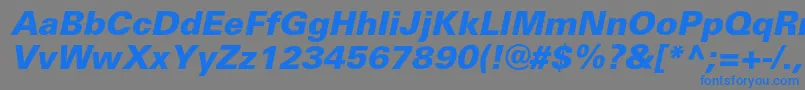 UniversblackcItalic Font – Blue Fonts on Gray Background