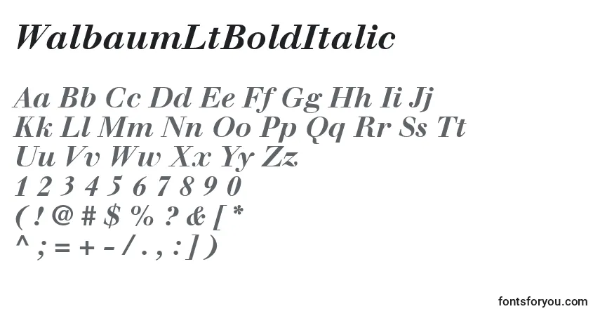 WalbaumLtBoldItalic-fontti – aakkoset, numerot, erikoismerkit