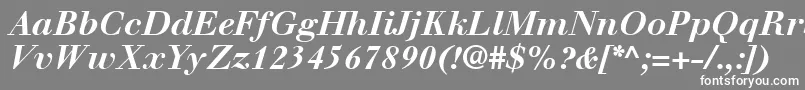 フォントWalbaumLtBoldItalic – 灰色の背景に白い文字