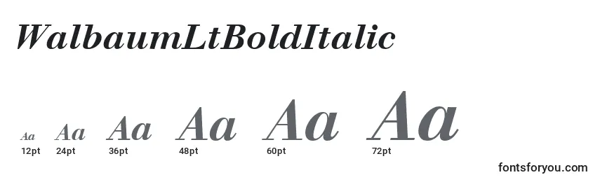Размеры шрифта WalbaumLtBoldItalic
