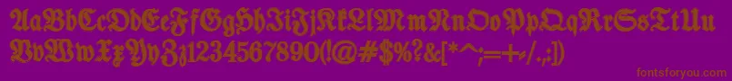 TypographerfrakturContour Font – Brown Fonts on Purple Background