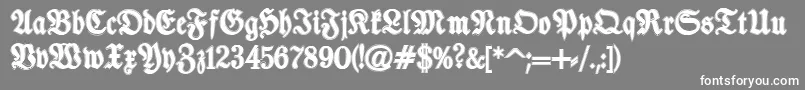 TypographerfrakturContour Font – White Fonts on Gray Background