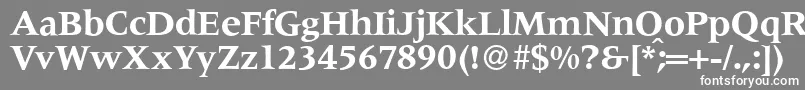 M690RomanBold Font – White Fonts on Gray Background