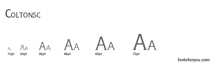 Coltonsc Font Sizes