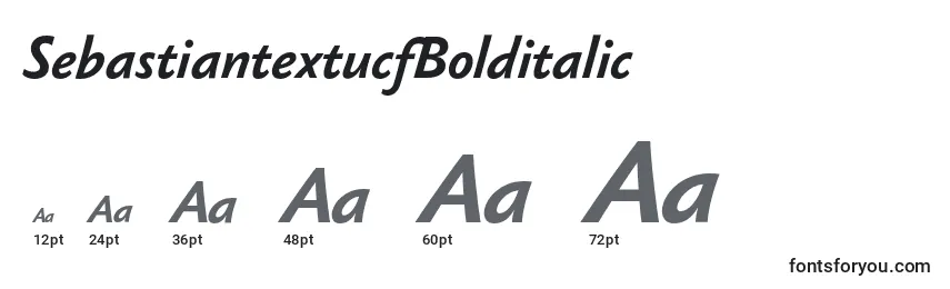 SebastiantextucfBolditalic Font Sizes