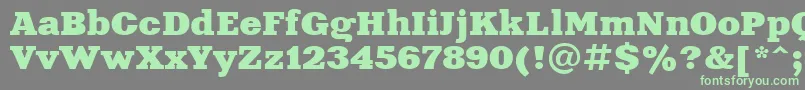 Xeniaextendedctt-fontti – vihreät fontit harmaalla taustalla