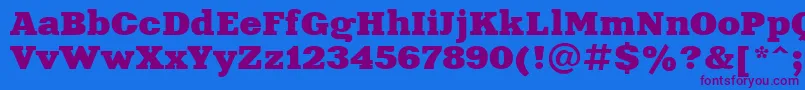 Xeniaextendedctt Font – Purple Fonts on Blue Background