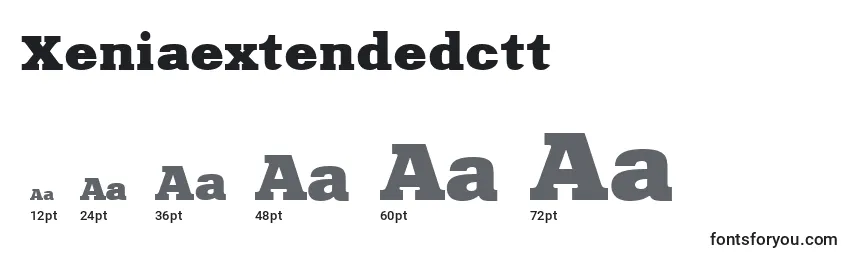 Размеры шрифта Xeniaextendedctt