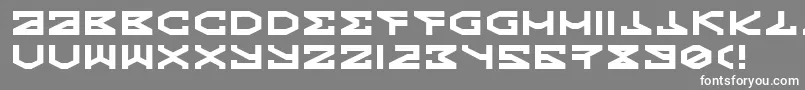 Kryptic Font – White Fonts on Gray Background