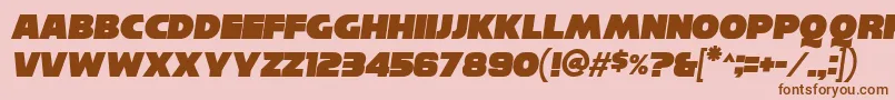ReisenbergItalic Font – Brown Fonts on Pink Background