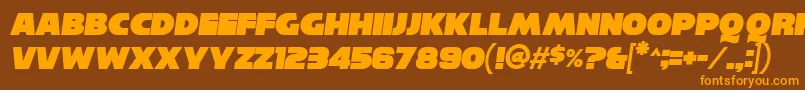 ReisenbergItalic Font – Orange Fonts on Brown Background