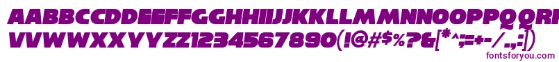 ReisenbergItalic Font – Purple Fonts on White Background