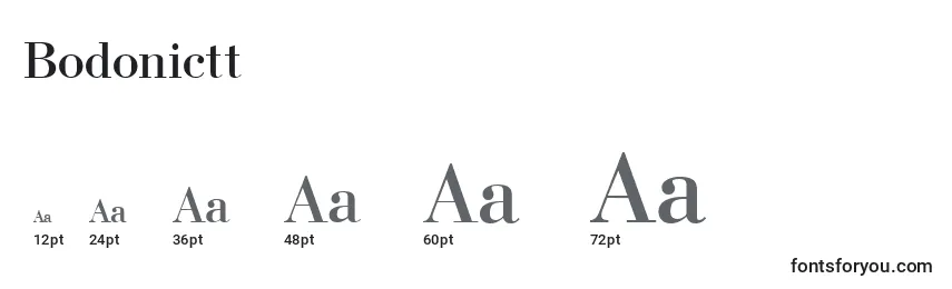 Размеры шрифта Bodonictt