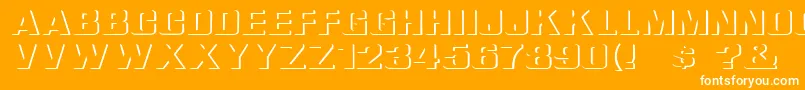 ReliefGroteskExtended Font – White Fonts on Orange Background