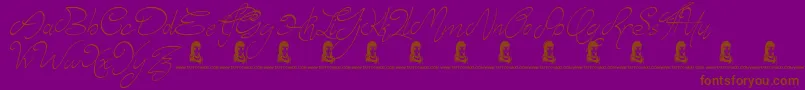 Elyse Font – Brown Fonts on Purple Background