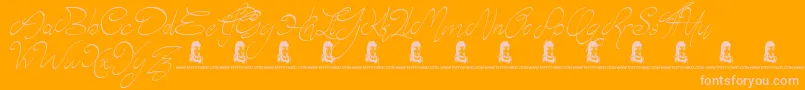 フォントElyse – オレンジの背景にピンクのフォント