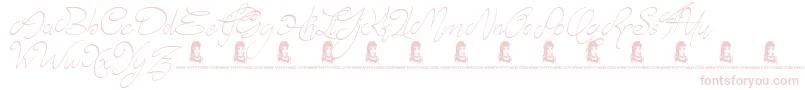 Fonte Elyse – fontes rosa em um fundo branco