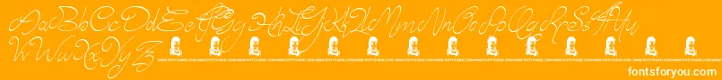 Elyse Font – White Fonts on Orange Background