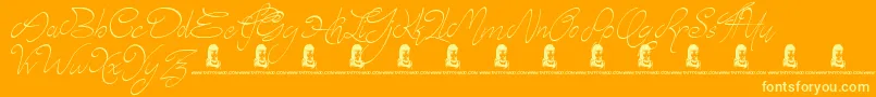 fuente Elyse – Fuentes Amarillas Sobre Fondo Naranja