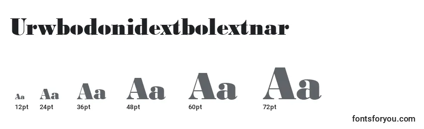 Размеры шрифта Urwbodonidextbolextnar