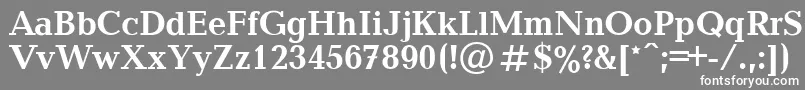 フォントBalticaBold.001.001 – 灰色の背景に白い文字