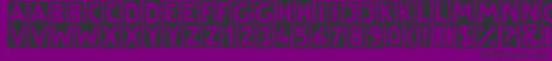 LinotypeSchere Font – Black Fonts on Purple Background