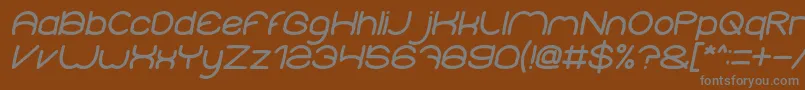 ElementaryBoldItalic Font – Gray Fonts on Brown Background