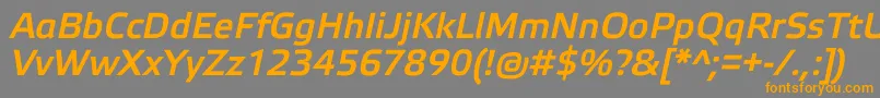 ElektraLightProBoldItalic Font – Orange Fonts on Gray Background