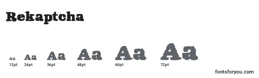 Rekaptcha (113051) Font Sizes