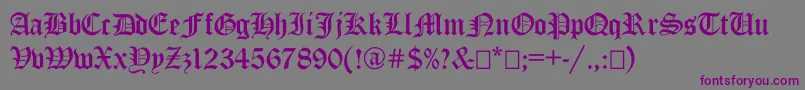 Ancientgermangothicc-Schriftart – Violette Schriften auf grauem Hintergrund