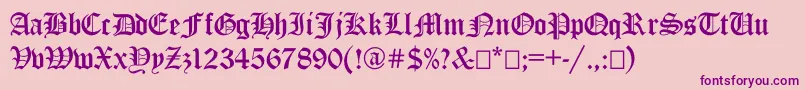 Ancientgermangothicc Font – Purple Fonts on Pink Background